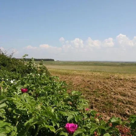 Appartamento Haus Heefkant Whg 5